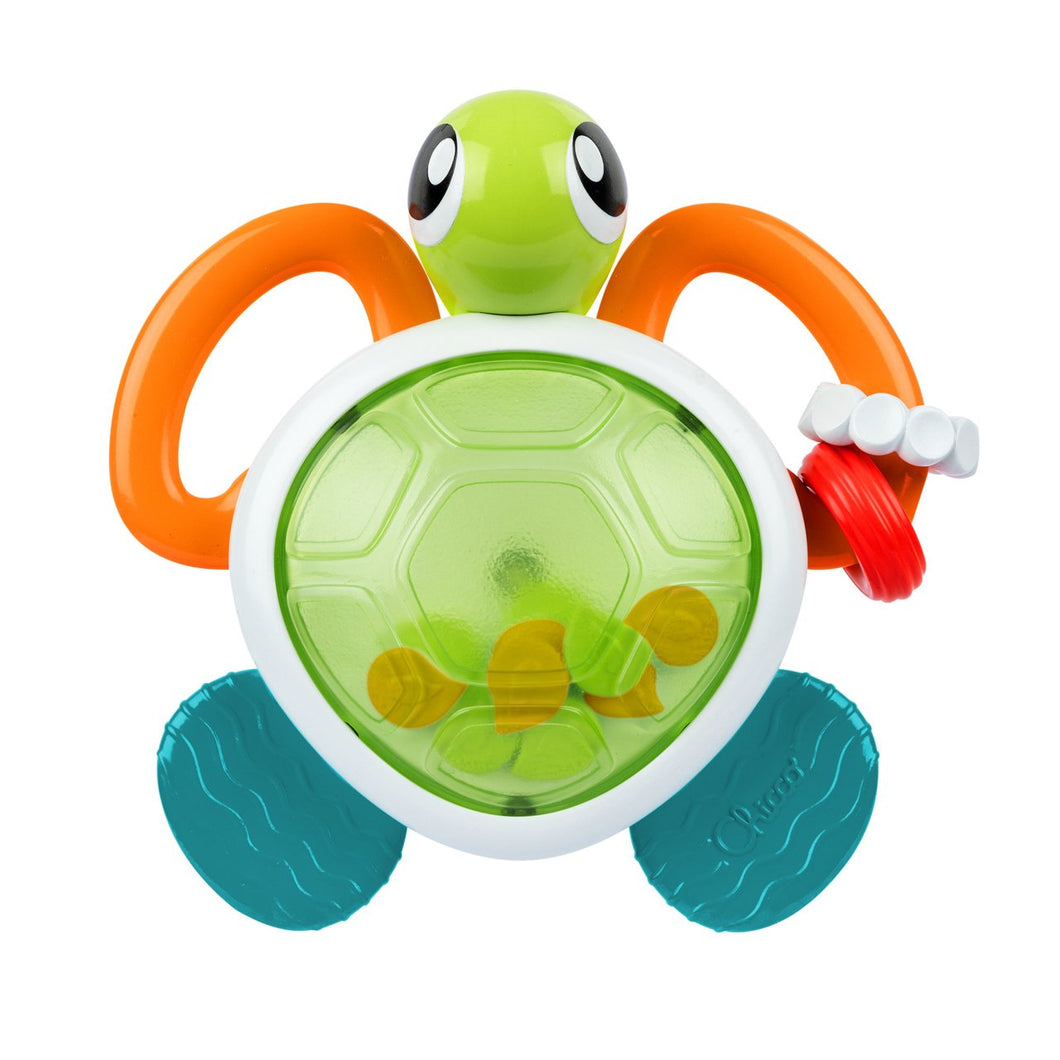 Tortue lumineuse
