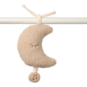 TEDDY Musical lune