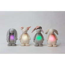 Load image into Gallery viewer, Moonie Rabbit Musical Nightlight
